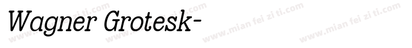 Wagner Grotesk字体转换